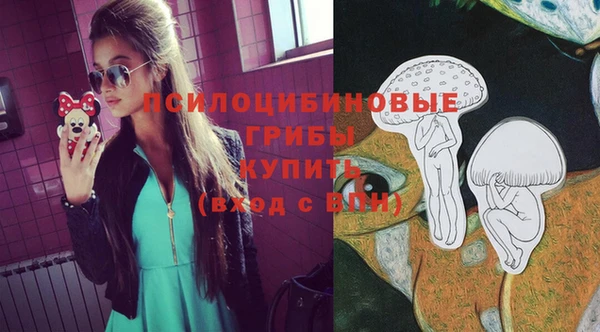 а пвп мука Армянск