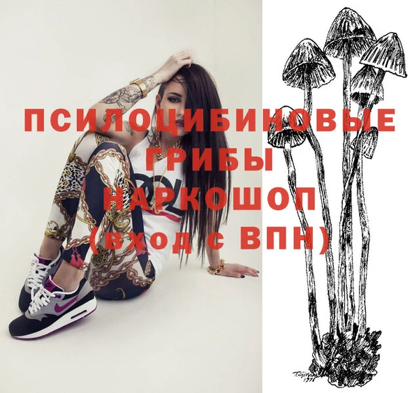 МДМА Арсеньев